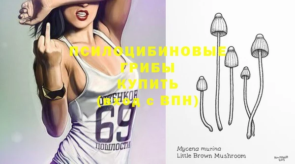 гидропоника Абдулино