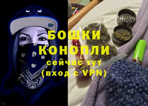 сатива Абинск