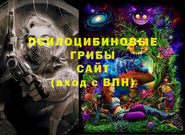 ешки Абаза