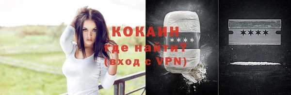 сатива Абинск