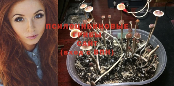 ешки Абаза