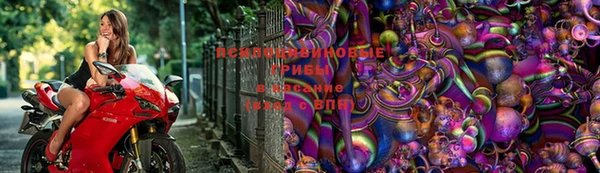 ешки Абаза