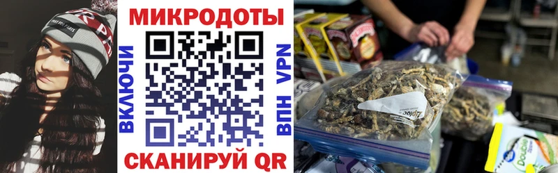 Псилоцибиновые грибы Psilocybine cubensis  наркотики  Сафоново 