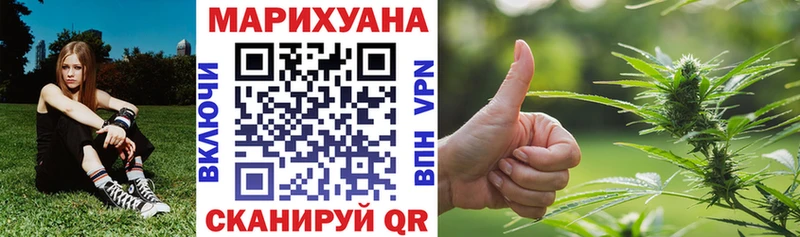 Каннабис сатива  Сафоново 